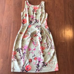 Beautiful Women's Floral Dress sz 6